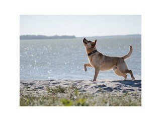 Appartamento per vacanze Kosel Ambiente 10