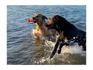 Appartamento per vacanze Kosel Ambiente 11