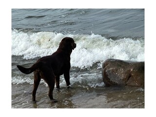 Appartamento per vacanze Kosel Ambiente 13