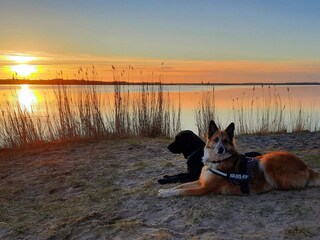 Appartamento per vacanze Kosel Ambiente 15