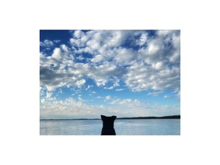 Appartamento per vacanze Kosel Ambiente 16