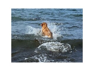 Appartamento per vacanze Kosel Ambiente 17