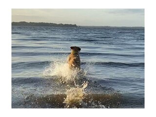 Appartamento per vacanze Kosel Ambiente 20