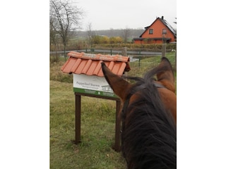 Hier geht's rein zum Reiterhof