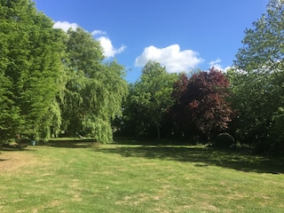 Garten, angelegt wie ein Park (Blick aus Schlafz. 3)
