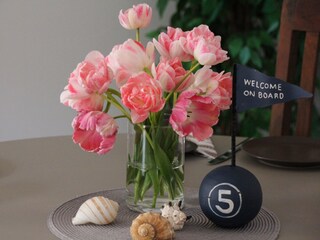 Appartamento per vacanze Karlshagen Caratteristiche 3