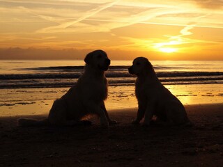 Appartamento per vacanze Karlshagen Ambiente 26