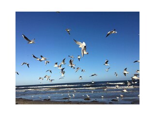 Appartamento per vacanze Karlshagen Ambiente 28