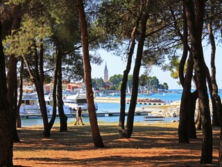 Appartamento per vacanze Novigrad (Istrien) Ambiente 17