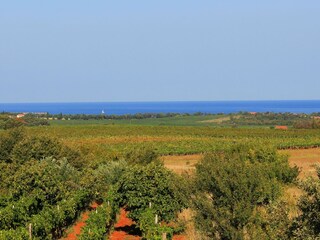 Ausblick vom Balkon