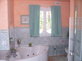 Villa Moissac-Bellevue Caratteristiche 20