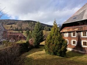 Vakantieappartement Bachrainhof - Menzenschwand - image1