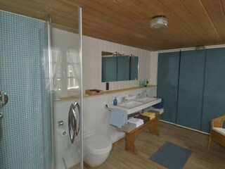 Apartamento de vacaciones Menzenschwand Características 20