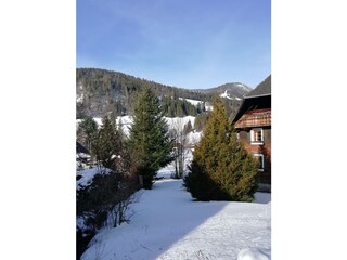 Apartamento de vacaciones Menzenschwand Grabación al aire libre 4