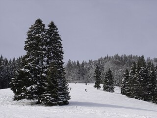 Apartamento de vacaciones Menzenschwand Entorno 30