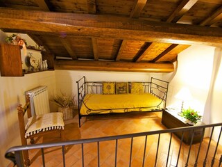 Casa per le vacanze Castel San Niccolo Caratteristiche 37