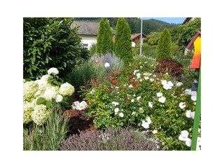Garten von der Ferienwohnung