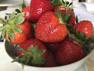 Ein Highlight des Sommers