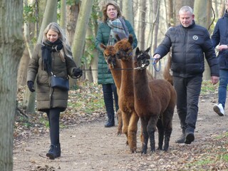 Chalet Serooskerke Ambiente 36