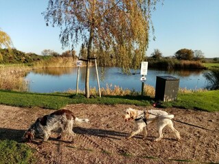 Chalet Serooskerke Ambiente 23