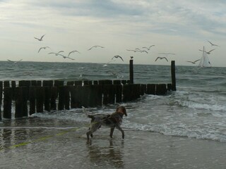 Chalet Serooskerke Ambiente 31