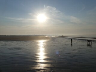 Chalet Serooskerke Ambiente 30