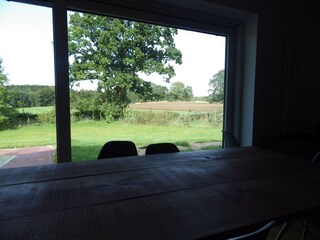 Blick über Feld und Wald im Sommer