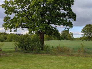 Blick aus dem Fenster in Garten und Ferne
