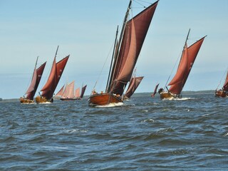 Zeesenboote auf dem Bodden
