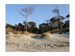 Prerow, Darß, Weststrand