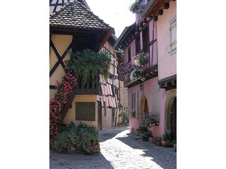 Vakantieappartement Epfig  23