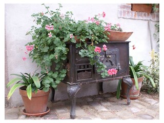 Appartamento per vacanze Epfig Registrazione all'aperto 8