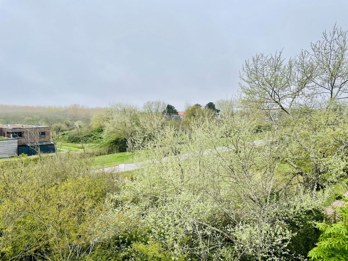 Ausblick Balkon - rechts