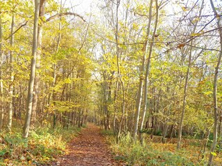 Appartement Domburg Omgeving 30