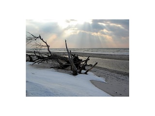 Winterimpressionen