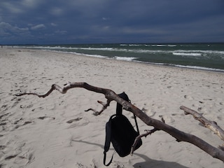 Appartement de vacances Prerow Environnement 27