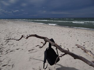 Vakantieappartement Prerow Omgeving 27