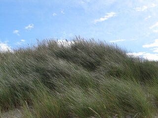 Appartamento per vacanze Prerow Ambiente 30