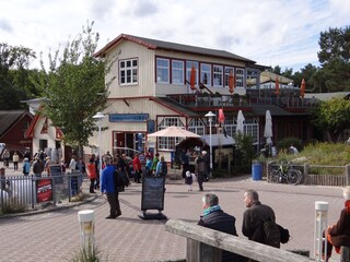 Vakantieappartement Prerow Omgeving 17