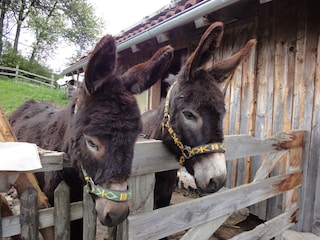 Unsere Nachbarn