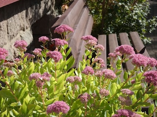 Ferienwohnung Hohegeiß Außenaufnahme 2