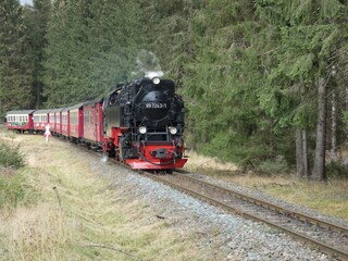 Ferienwohnung Hohegeiß Umgebung 18