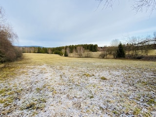 Ferienwohnung Hohegeiß Umgebung 13