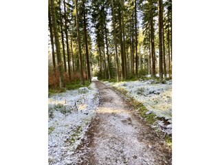 Ferienwohnung Hohegeiß Umgebung 14