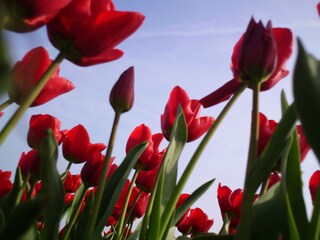 Appartamento per vacanze Callantsoog Ambiente 7