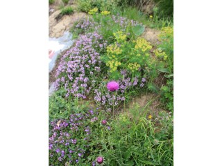 Apartamento de vacaciones Ovronnaz Entorno 31