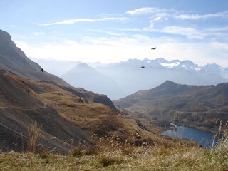 Appartement de vacances Ovronnaz Environnement 35