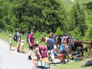 Apartamento de vacaciones Ovronnaz Entorno 37