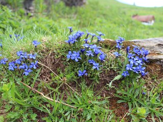 Apartamento de vacaciones Ovronnaz Documento 42