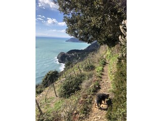 Appartamento per vacanze La Spezia Ambiente 36